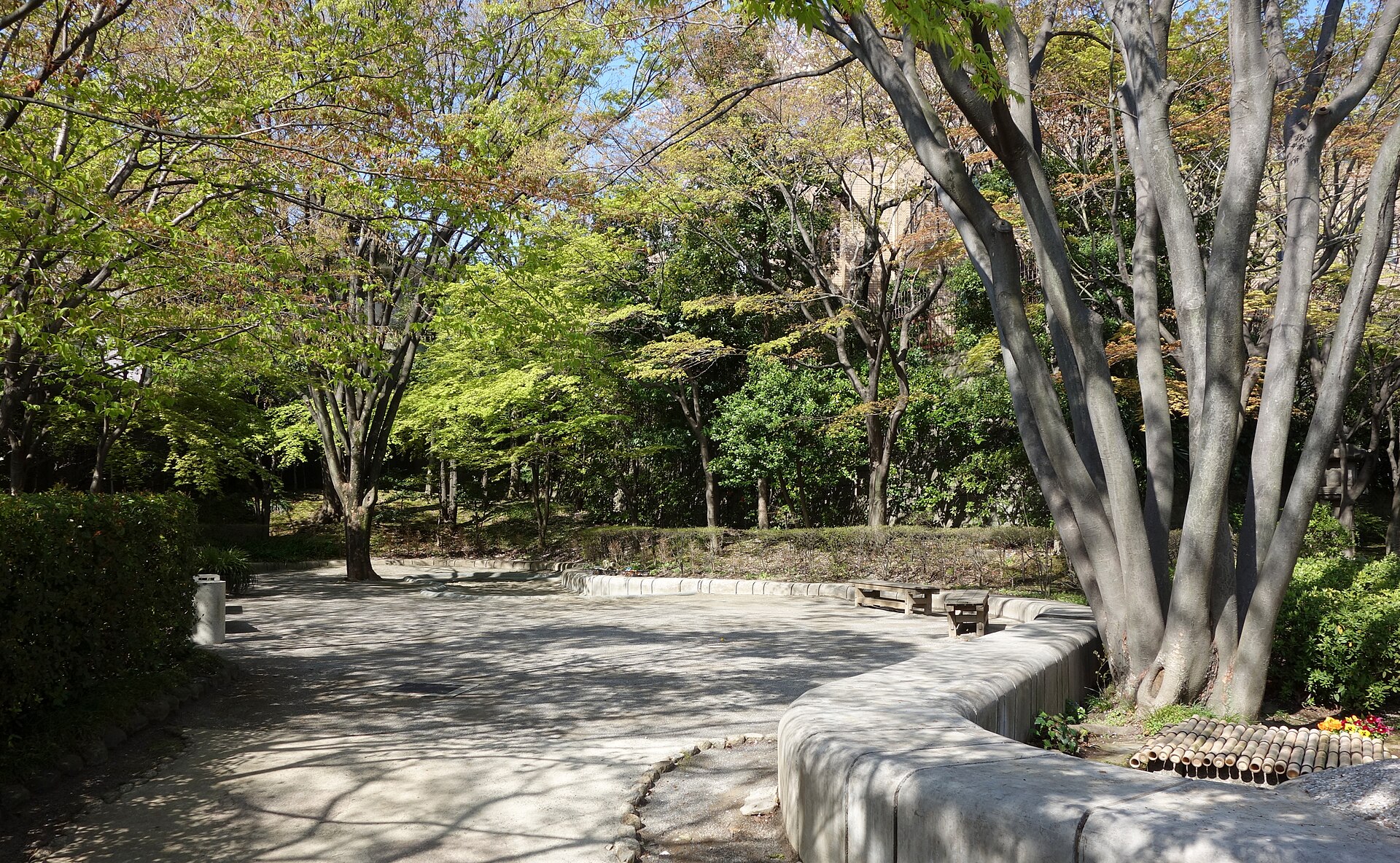池田山公園の緑に包まれた園路