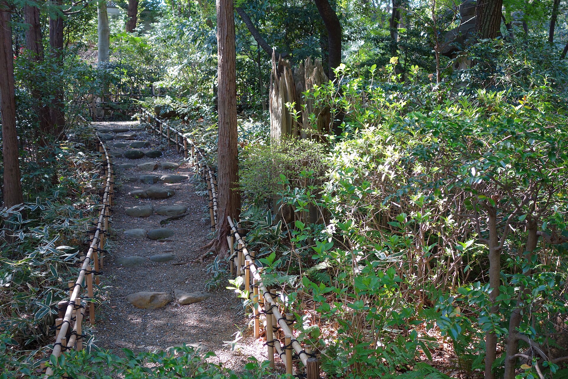 木々の間をのぼる池田山公園の石段